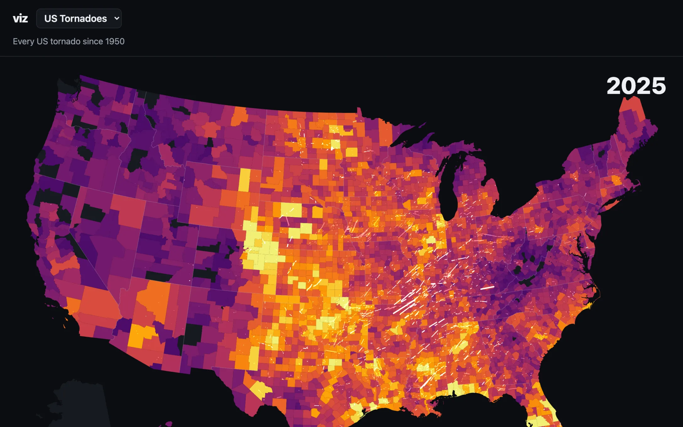 The viz tornado map paused on 2025: US counties shaded from purple to yellow by tornado count since 1950, with that year's tracks drawn as white streaks